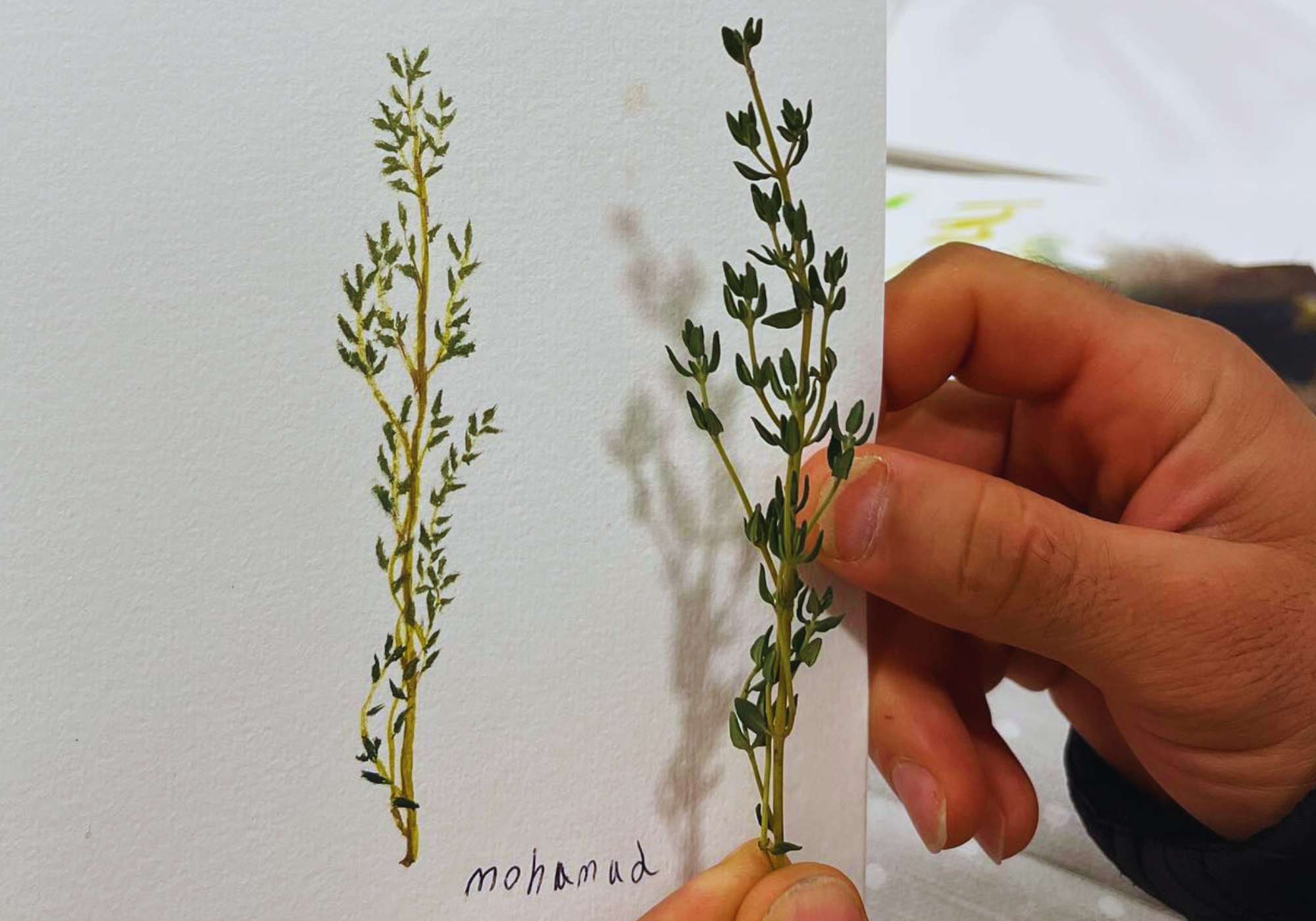 Art and Wellbeing